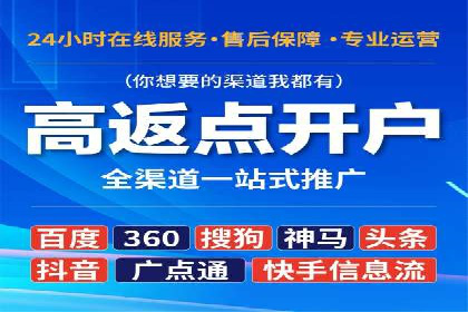 竞价排名优化策略案例分析
